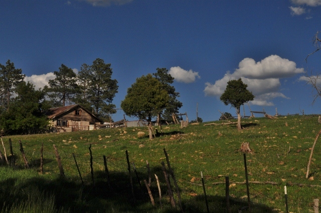 On Echo Basin Road